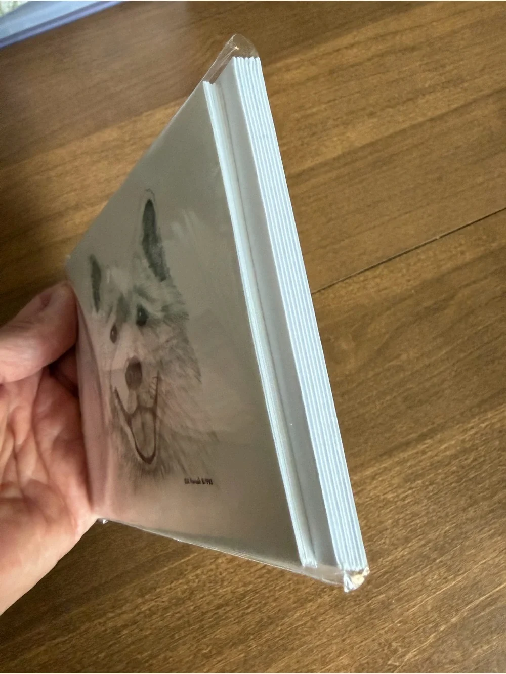 Samoyed Dog Note Cards (8) Fine Art Drawing - Bill Harrah 1993 - Wolf Run Studio